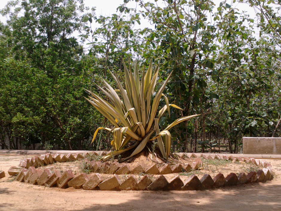 ek-freudiaans